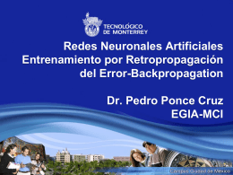 Backpropagation - Dr. Pedro Ponce Cruz