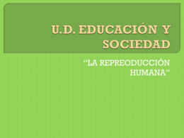 U.D. educación y sociedad