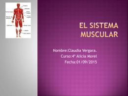 claudia vergara sistema muscular