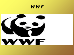 WWF - COMO NOSOTROSSS
