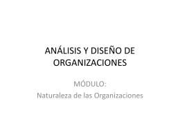 Análisis y Diseño de Organizaciones
