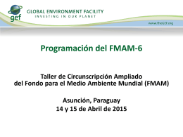 Programación del FMAM-6 Productos Químicos y Desechos
