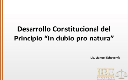 Manuel. Desarrollo Constitucional del Principio in dubio pro