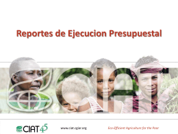 IT - presentacion reportes ejecucion presupuestal