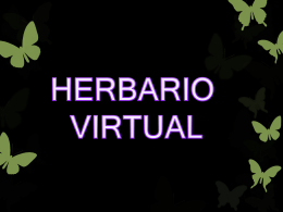 Descarga - Herbario Virtual Amazonia Viva Normalista