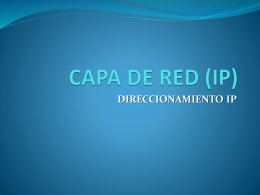 CAPA DE RED (IP)