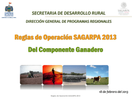 Reglas de Operacion Sagarpa tres 2013