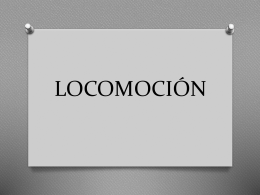 LOCOMOCIÓN I.
