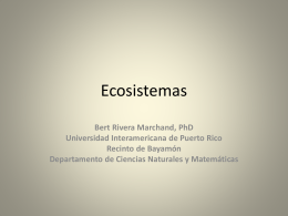 Ecosistemas - Universidad Interamericana de Puerto Rico