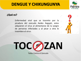 Presentacion-Chikungunya
