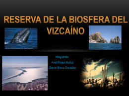Reserva de la Biosfera del Vizacaino presentacion