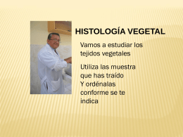 Histologia_practica labo
