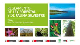 autoridad regional forestal y de fauna silvestre.