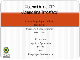 Obtención de ATP (Adenosin trifosfato)