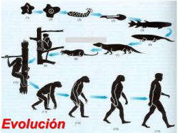 Evolución-Biología - Colegio SS.CC. Manquehue