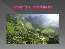 Energía y Fotosíntesis