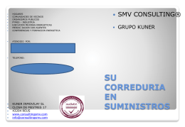 File - ConsultingSMV