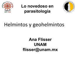 Dra. Ana Flisser Steinbruch - Academia Nacional de Medicina