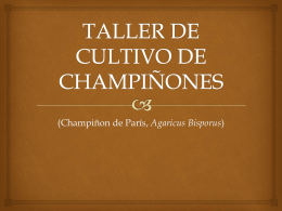 TALLER DE CULTIVO DE CHAMPIÑONES