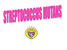 streptococcus mutans