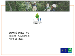 3. Avances presentación - Proyecto Gobernanza Forestal