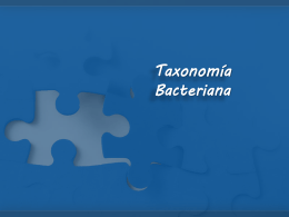 taxonomia2011