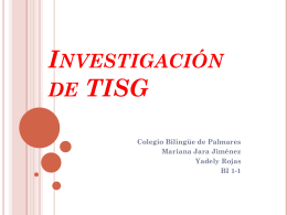 Investigacion de TISG