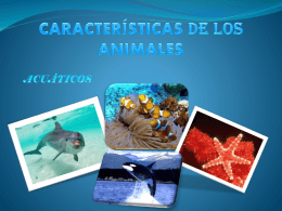 CARACTERÍSTICAS DE LOS ANIMALES tic