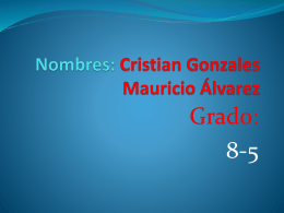 Nombres: Cristian Gonzales Mauricio Álvarez