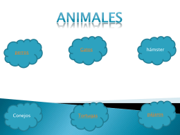 Animales (botones)