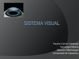 Clase S. Visual 10.2..