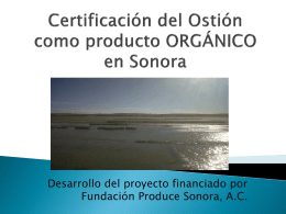 CERTIFICACION ORGANICA DE OSTION EN SONORA