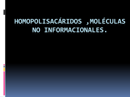 Homopolisacáridos ,moléculas no informacionales