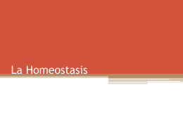 ppt homeostasis