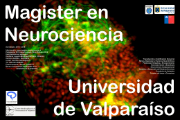 Diapositiva 1 - Magister en Ciencias Biológicas mención Neurociencia