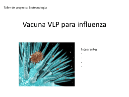Vacuna_VLP_para_influenza - U