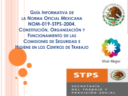 Guía Informativa de la Norma Oficial Mexicana NOM-019