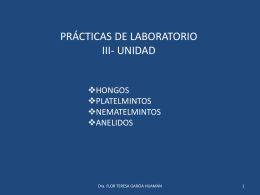 repaso practicas de laboratorio iii