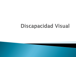 Discapacidad Visual.