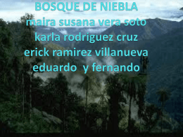 Bosques Nublados (1)