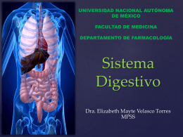 asesoria_digestivo - Departamento de Farmacología
