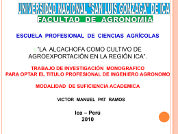 Alcachofa2010