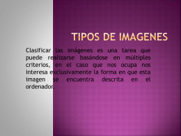 TIPOS DE IMAGENES (491234)