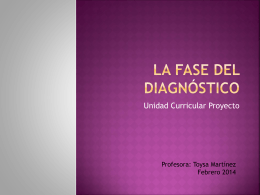 La fase del Diagnóstico Proyecto 2014