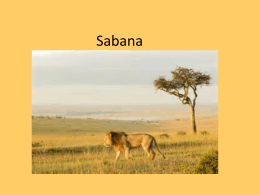 PPT Sabana - Languages.dk