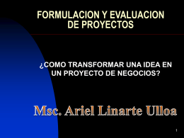 curso formulacion y evaluacion de proyectos_01