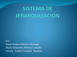 SISTEMA DE JERARQUIZACIÓN 2 (176986)