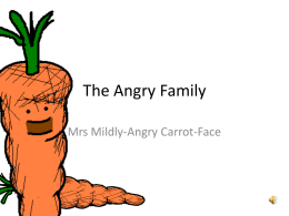 The Angry Family