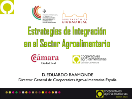 Plan integración CLM – Eduardo Baamonde 2014