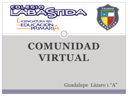 Comunidad Virtual (487424)